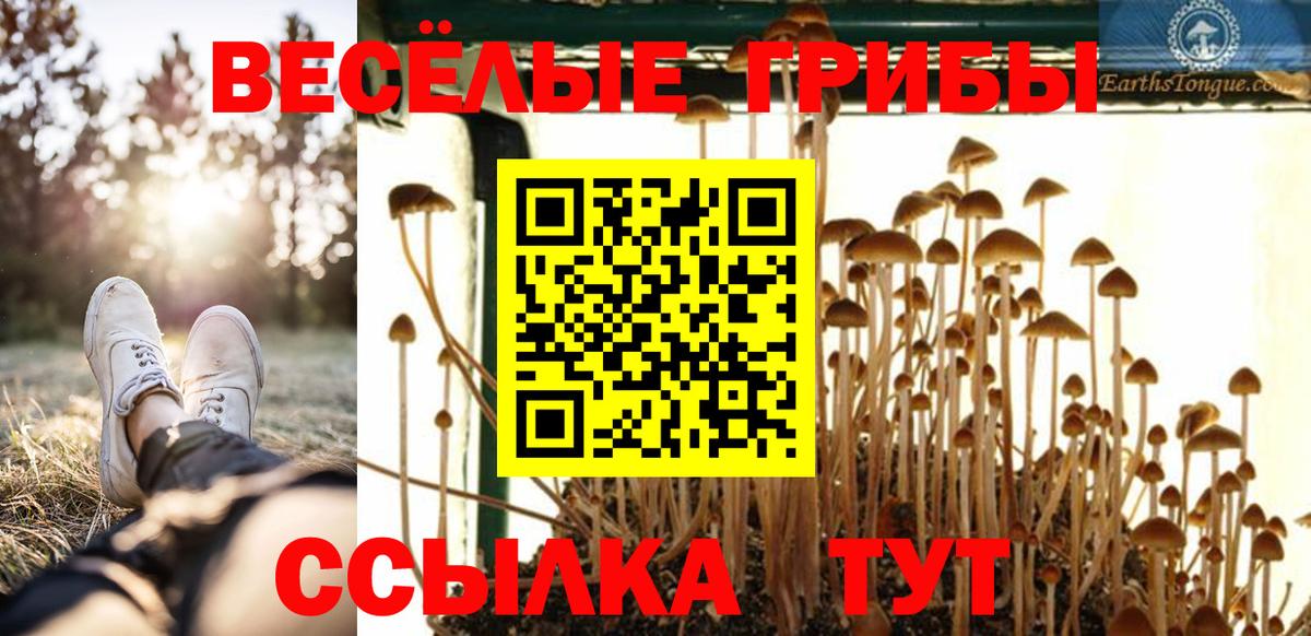 Галлюциногенные грибы ЛСД Уссурийск