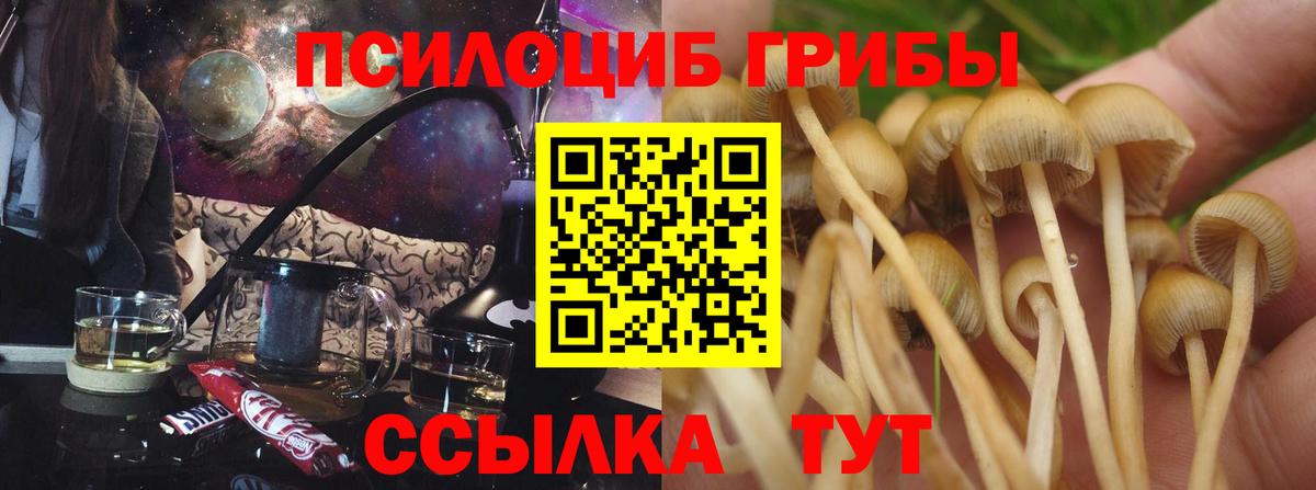 Уссурийск  Псилоцибиновые грибы мухоморы  Вход с VPN 